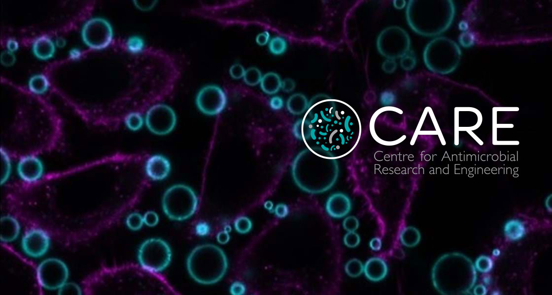 Antimicrobial Therapy