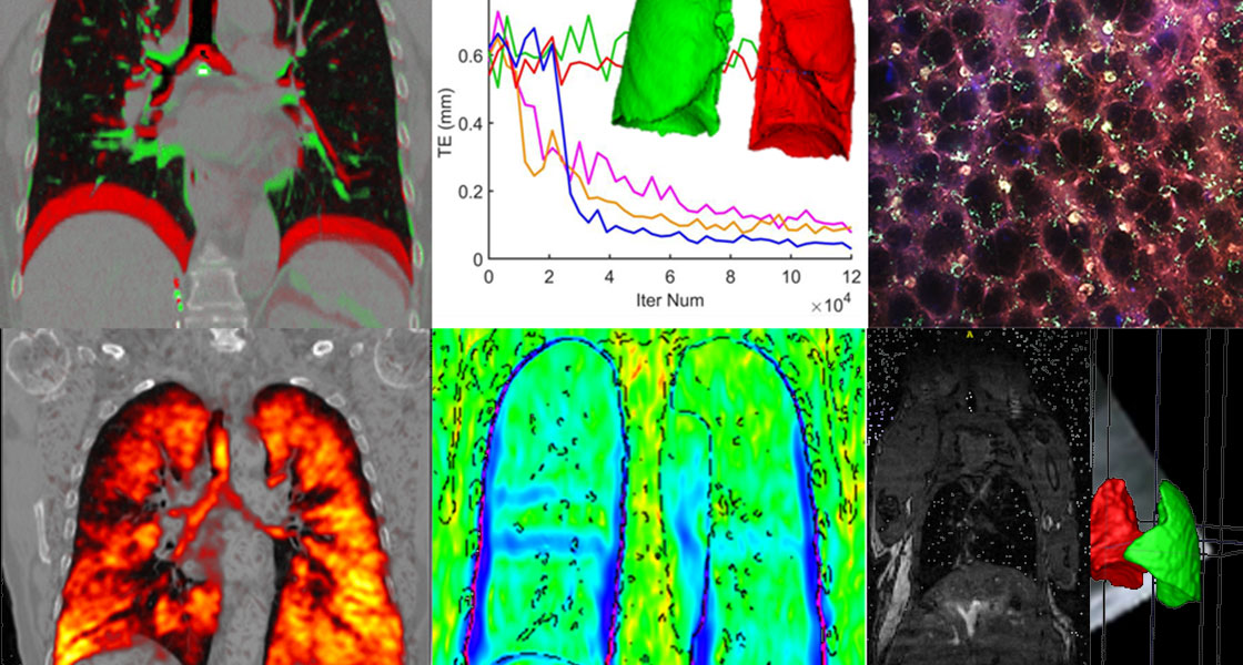 Motion in Bioimage Analysis