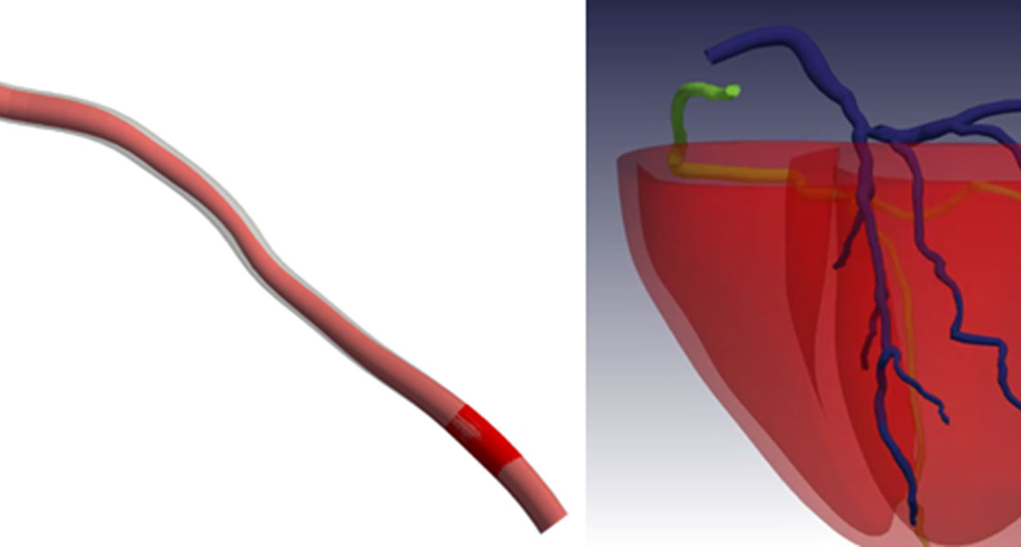 Multimodal Reconstruction of Digital Anatomy