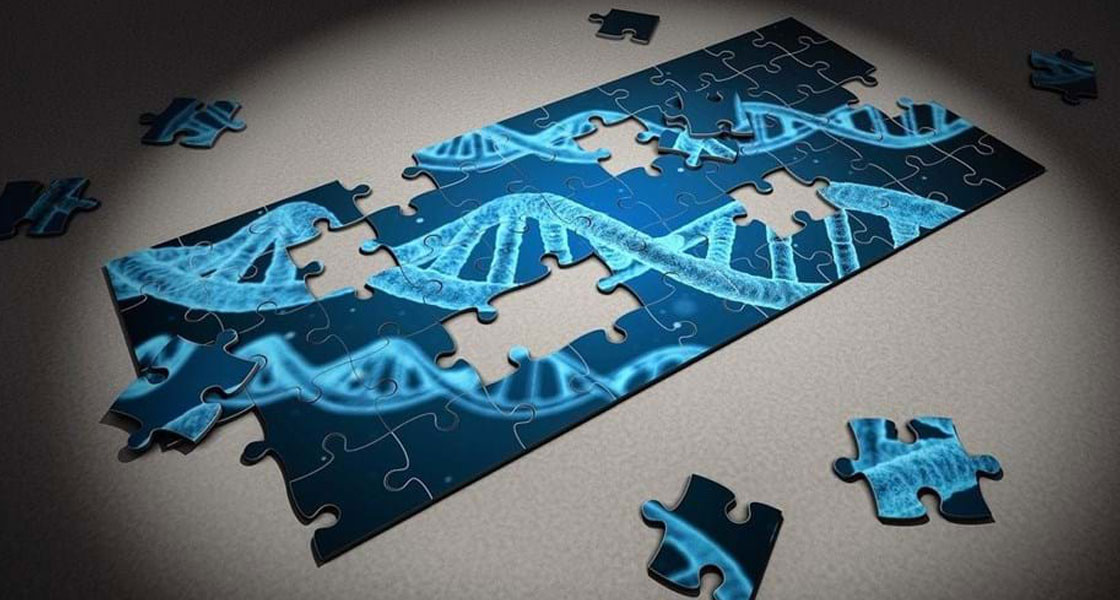 Translational Studies