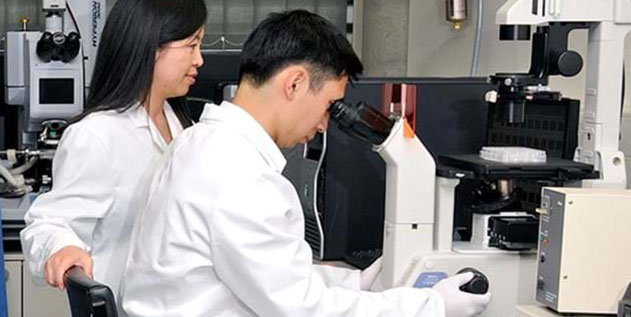 Improving bioreactors used in stem cell therapies